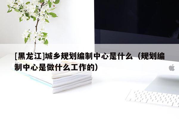 [黑龙江]城乡规划编制中心是什么（规划编制中心是做什么工作的）