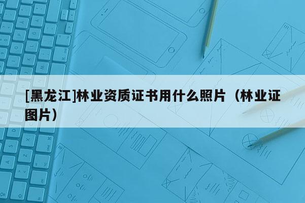 [黑龙江]林业资质证书用什么照片（林业证图片）