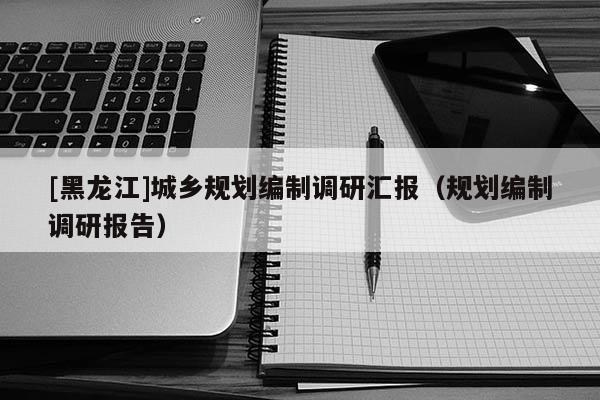 [黑龙江]城乡规划编制调研汇报（规划编制调研报告）