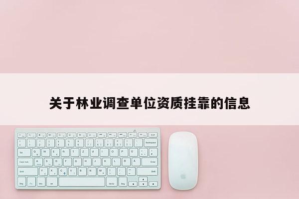 关于林业调查单位资质挂靠的信息