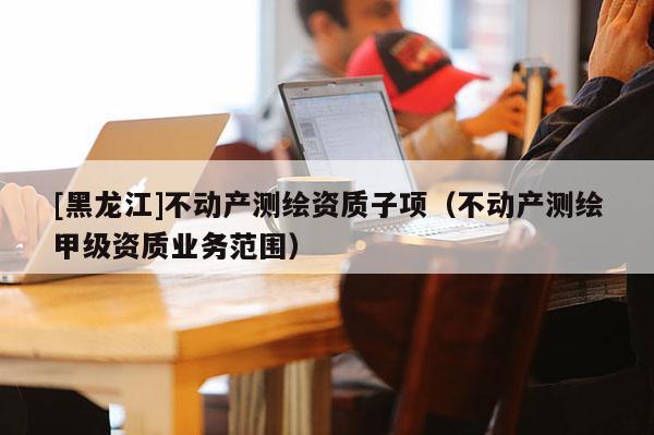 [黑龙江]不动产测绘资质子项（不动产测绘甲级资质业务范围）