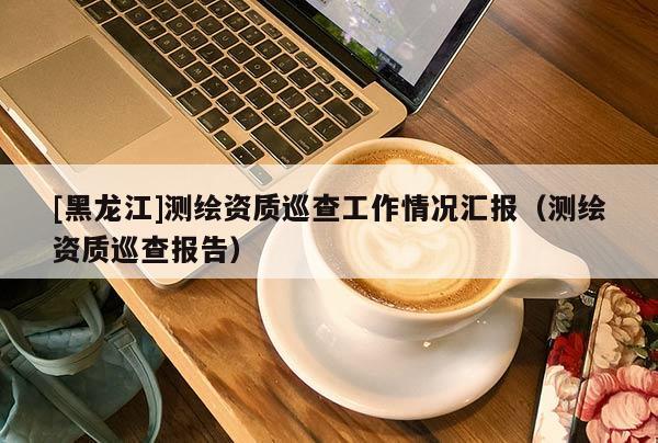[黑龙江]测绘资质巡查工作情况汇报（测绘资质巡查报告）