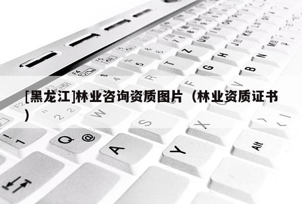 [黑龙江]林业咨询资质图片（林业资质证书）