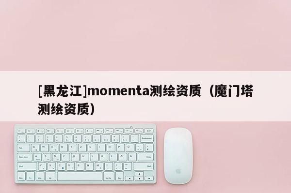 [黑龙江]momenta测绘资质（魔门塔测绘资质）