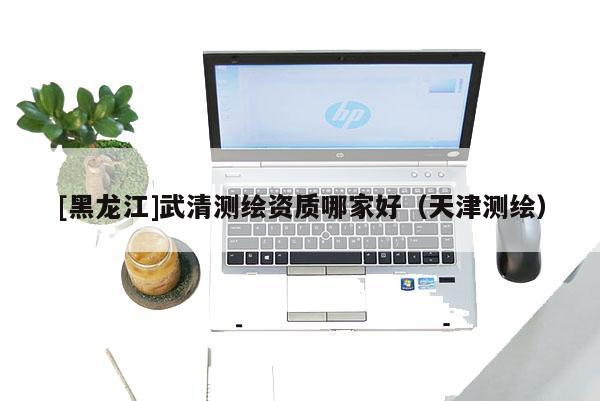 [黑龙江]武清测绘资质哪家好（天津测绘）