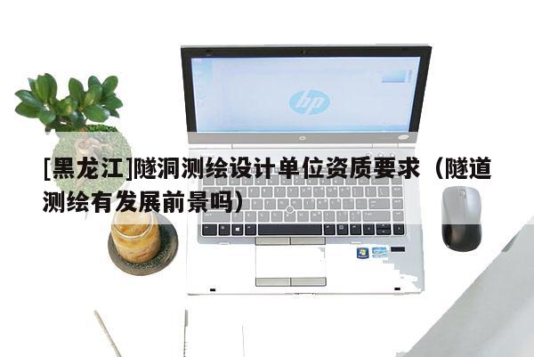 [黑龙江]隧洞测绘设计单位资质要求（隧道测绘有发展前景吗）