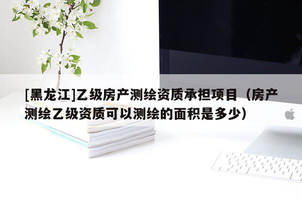 [黑龙江]乙级房产测绘资质承担项目（房产测绘乙级资质可以测绘的面积是多少）