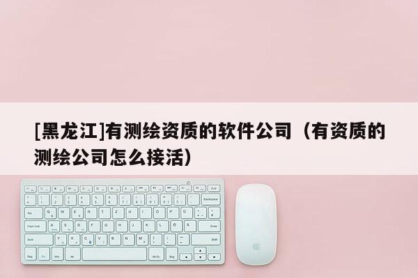 [黑龙江]有测绘资质的软件公司（有资质的测绘公司怎么接活）