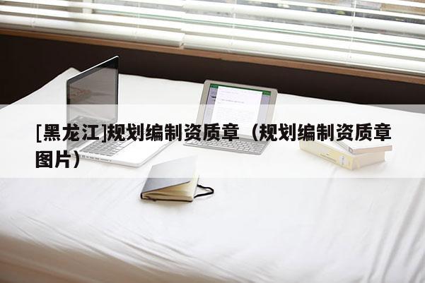 [黑龙江]规划编制资质章（规划编制资质章图片）